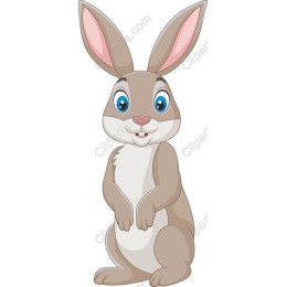 Charming Cartoon Rabbit