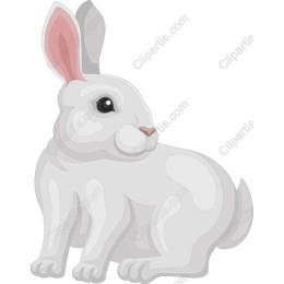 Charming White Rabbit