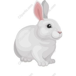Charming Fluffy White Rabbit