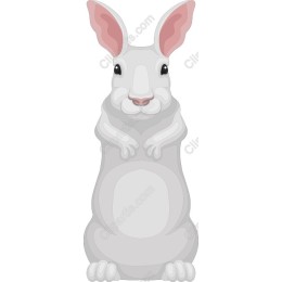 Charming White Rabbit