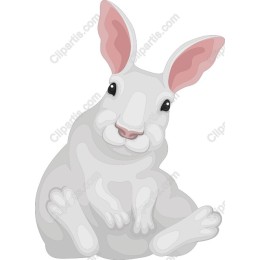 Charming White Rabbit