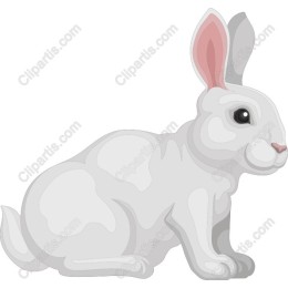 Charming White Rabbit