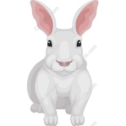 Charming White Rabbit
