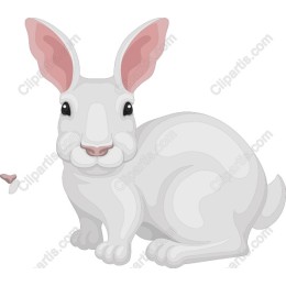 Charming White Rabbit