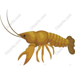 Crawfish