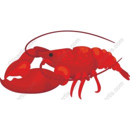 Vibrant Lobster
