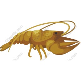 Golden Crayfish