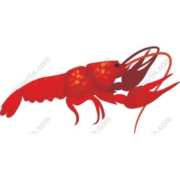 Vibrant Red Crawfish