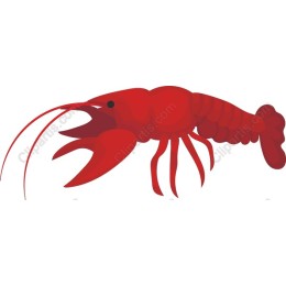 Vibrant Red Lobster