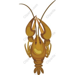 Charming Lobster