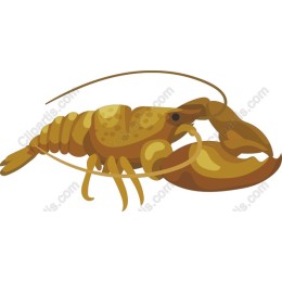 Lobster