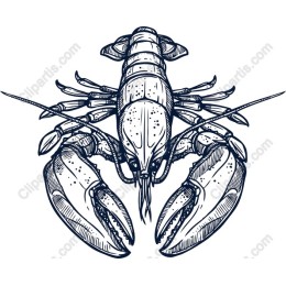 Lobster - Premium
