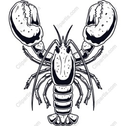 Lobster