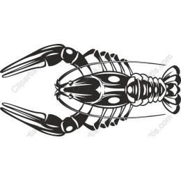 Lobster
