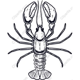 Vintage Lobster