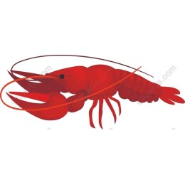 Vibrant Red Lobster