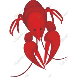 Lively Red Lobster