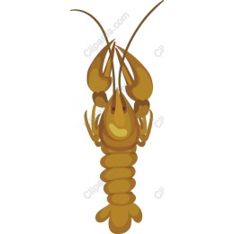 Crawfish Delight