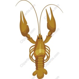 Crawfish