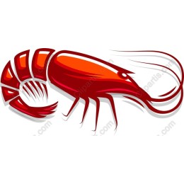 Vibrant Shrimp