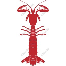 Lobster - Seafood
