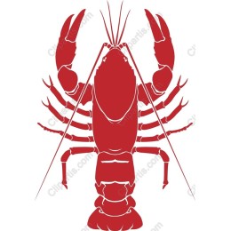 Lobster