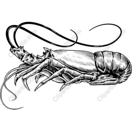 Vintage Lobster