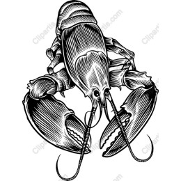 Detailed Lobster