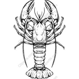 Intricate Lobster