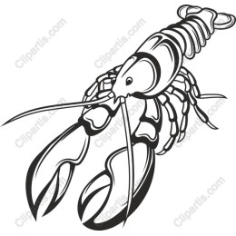 Lobster