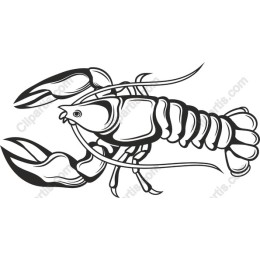 Lobster