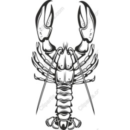 Lobster - Elegant Marine