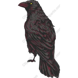 Majestic Raven