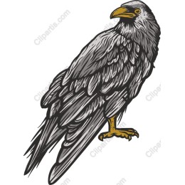 Majestic Hawk