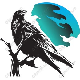 Majestic Raven