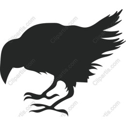 Crow in Flight