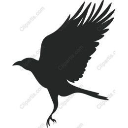 Elegant Flying Bird