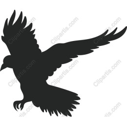Soaring Bird