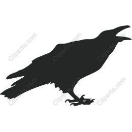 Crow