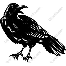 Raven - Elegant Black Crow and