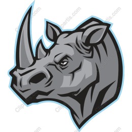 Majestic Rhinoceros