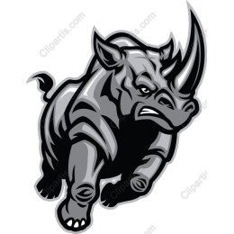 Raging Rhino