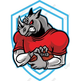 Fierce Rhinoceros Sports