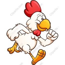 Playful Running Chicken