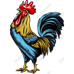 Majestic Rooster