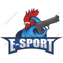 Fierce Rooster Esports