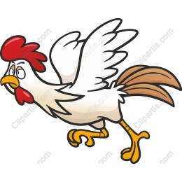 Running Chicken