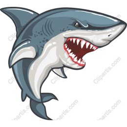Ferocious Shark
