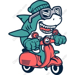 Playful Shark Scooter