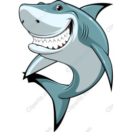 Cartoon Shark